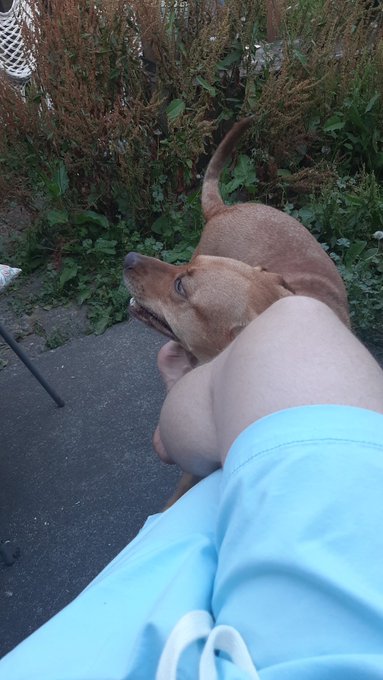 New shorts and a beautiful baby at my attention https://t.co/r72Mj5pGfT<a href="/tag/feetfetish"class="tags"><span>#feetfetish</span></a>