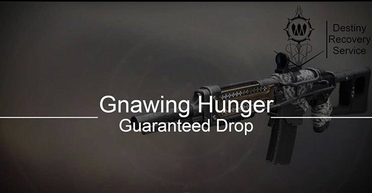 DestinyRecovs's tweet photo. Want that god roll gnawing hunger? Message us for the best account recoveries!! Click the link in our bio to go check out the website!! #Giveaways #destiny2 #destinymeme #gnawinghunger #prophecy #godroll #destinyrecoveryservice #thereckoning #seasonofarrivals https://t.co/wkE0gapbON