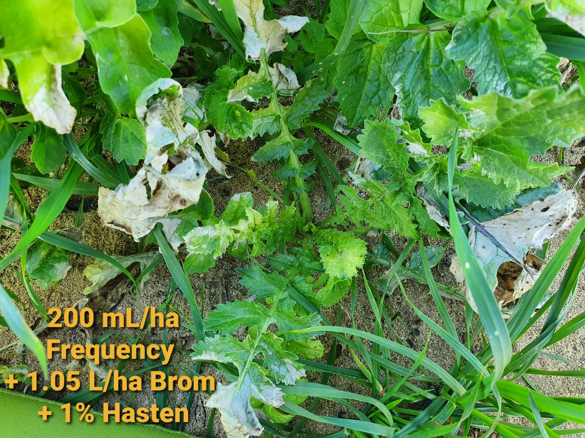 Matt Willis tweet media