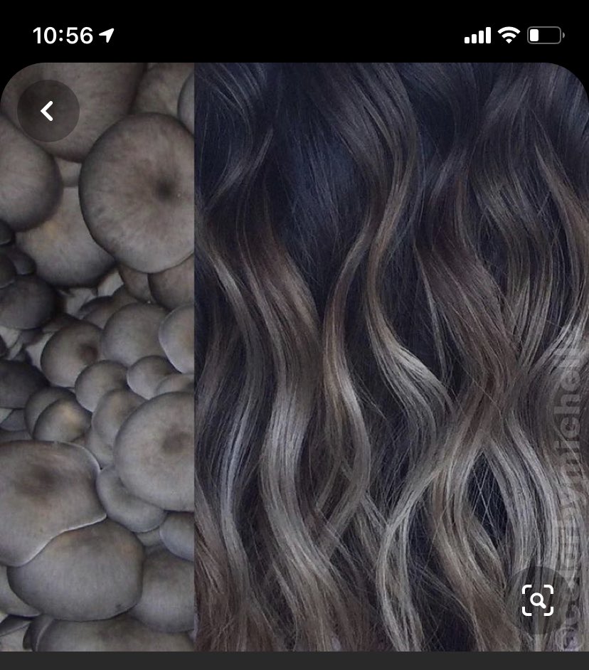 libbywitham's tweet photo. Hello I need help deciding on a hair color which one y’all like https://t.co/83HN4vmgEB