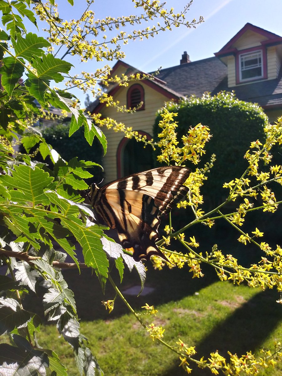 JoshuaDeanMills's tweet photo. Took a break from work to enjoy the little things :) https://t.co/7ujsYpYvZM