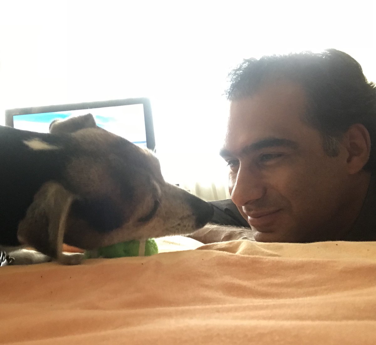 MichelChain's tweet photo. ¡#JackElPerro!
Los canes son una fuente de amor y alegría en muchos hogares; sin embargo, tener uno en casa significa una responsabilidad muy en seria pues merecen un entorno saludable, apropiado y con mucho cariño por parte de sus humanos. #DiaDelPerro #DiaMundialDelPerro https://t.co/PQWBnid8AC