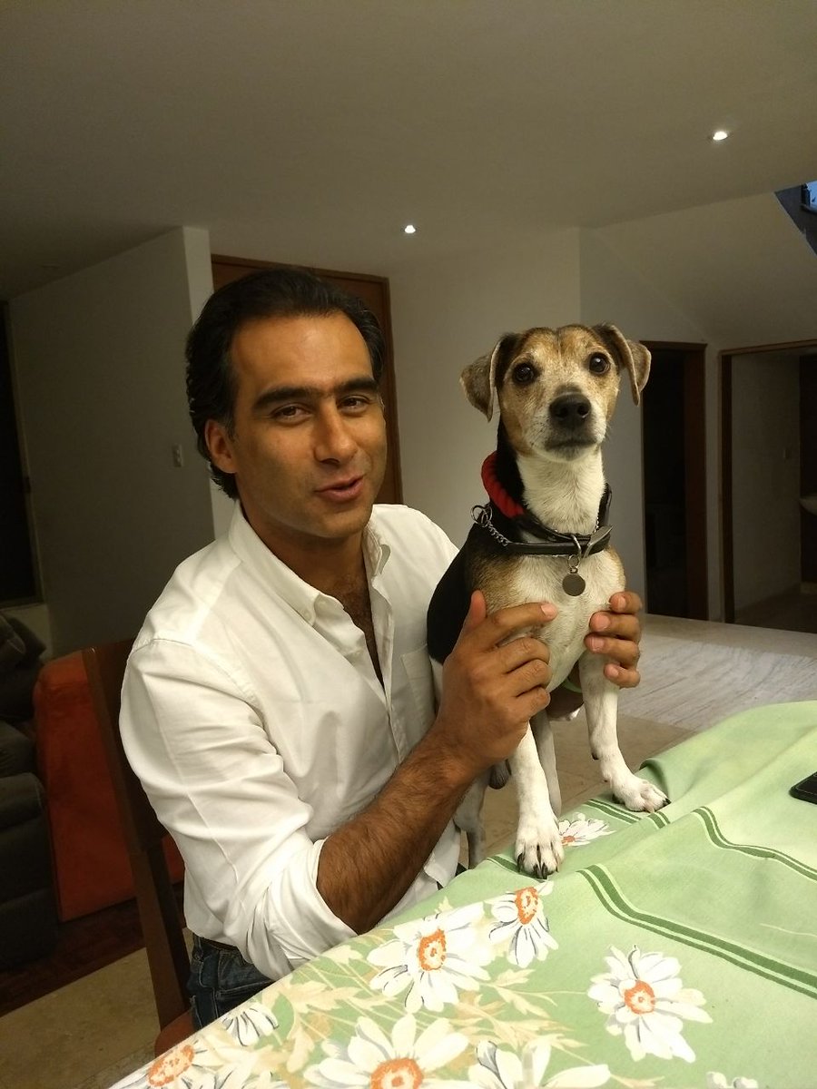MichelChain's tweet photo. ¡#JackElPerro!
Los canes son una fuente de amor y alegría en muchos hogares; sin embargo, tener uno en casa significa una responsabilidad muy en seria pues merecen un entorno saludable, apropiado y con mucho cariño por parte de sus humanos. #DiaDelPerro #DiaMundialDelPerro https://t.co/PQWBnid8AC