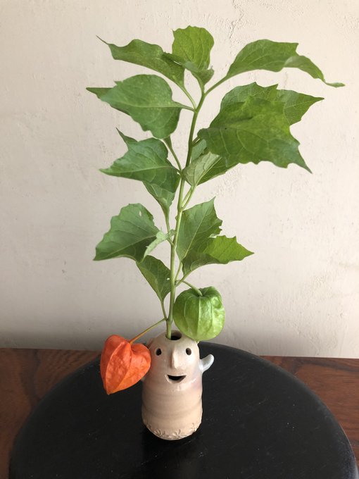 ほおずきのtwitterイラスト検索結果