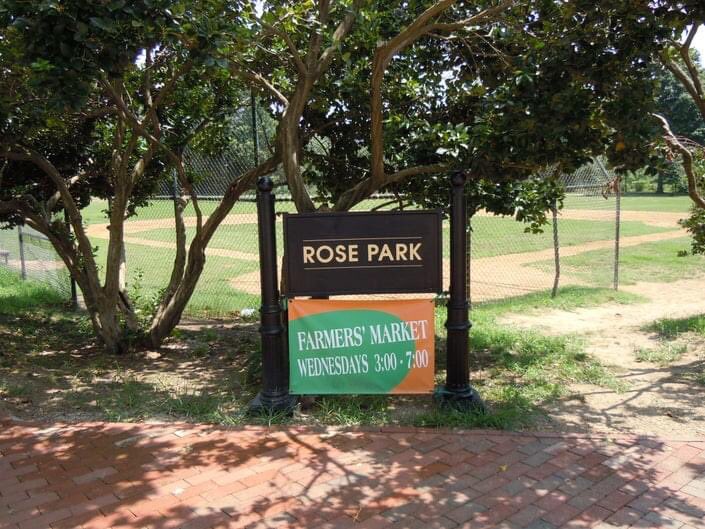 Roache Democratic Committewoman tweet media