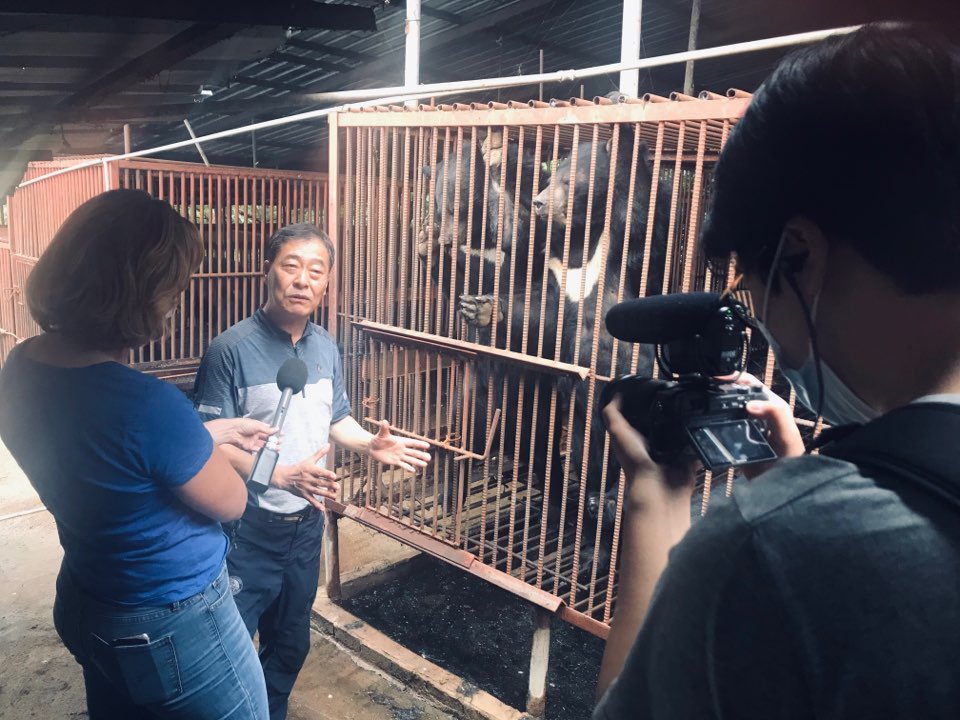 South Korea has 100’s of forgotten moon bears trapped in filthy, rusty cages across the country. They were farmed for bile which some use as medicine. But demand has collapsed and farmers have no funds. Now, over 450 bears face an uncertain future.