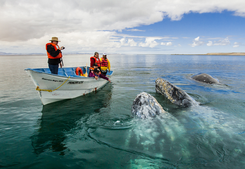 🚤Bahía Concepción es la bahía más grande de Baja California Sur y se extiende de forma alargada desde Heroica de Mulegé, hasta el norte del municipio de Loreto.
bit.ly/3hmMKS1

<a href="/SECTURBCS/">Secretaría de Turismo y Economía de BCS</a>