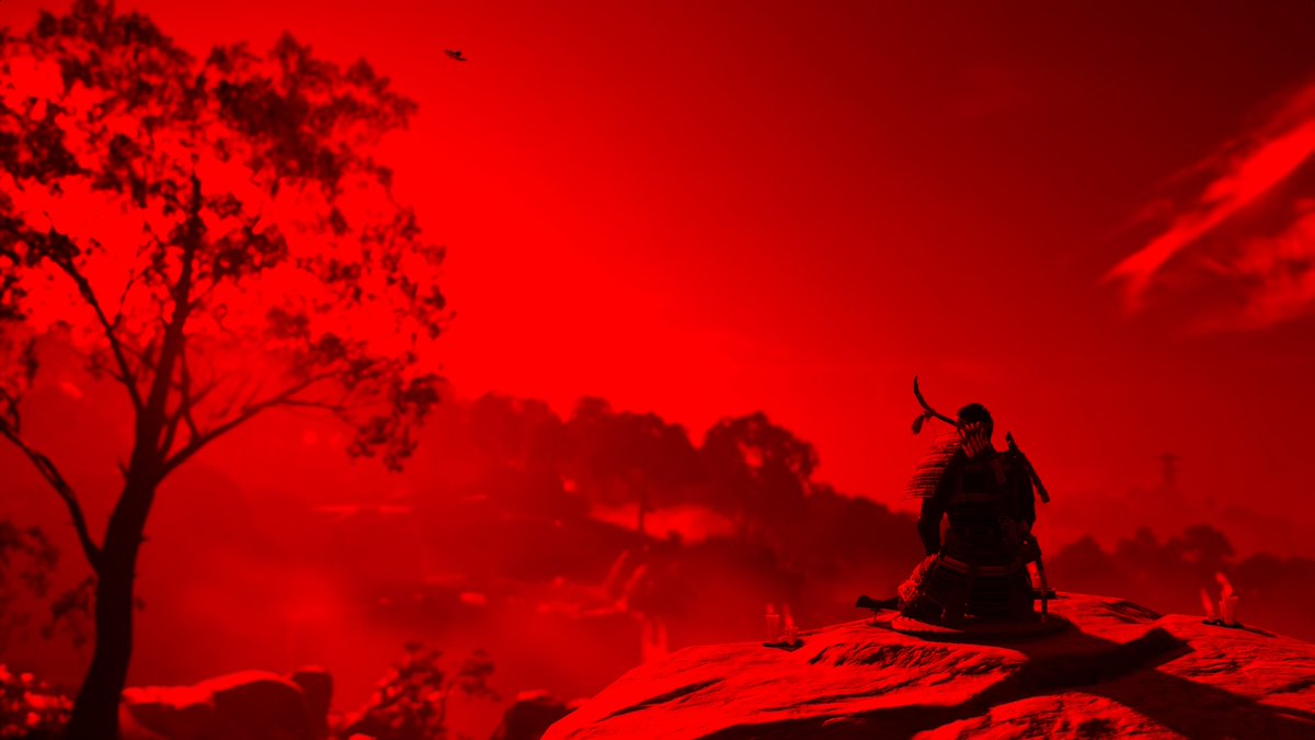 Jan Heer tweet media