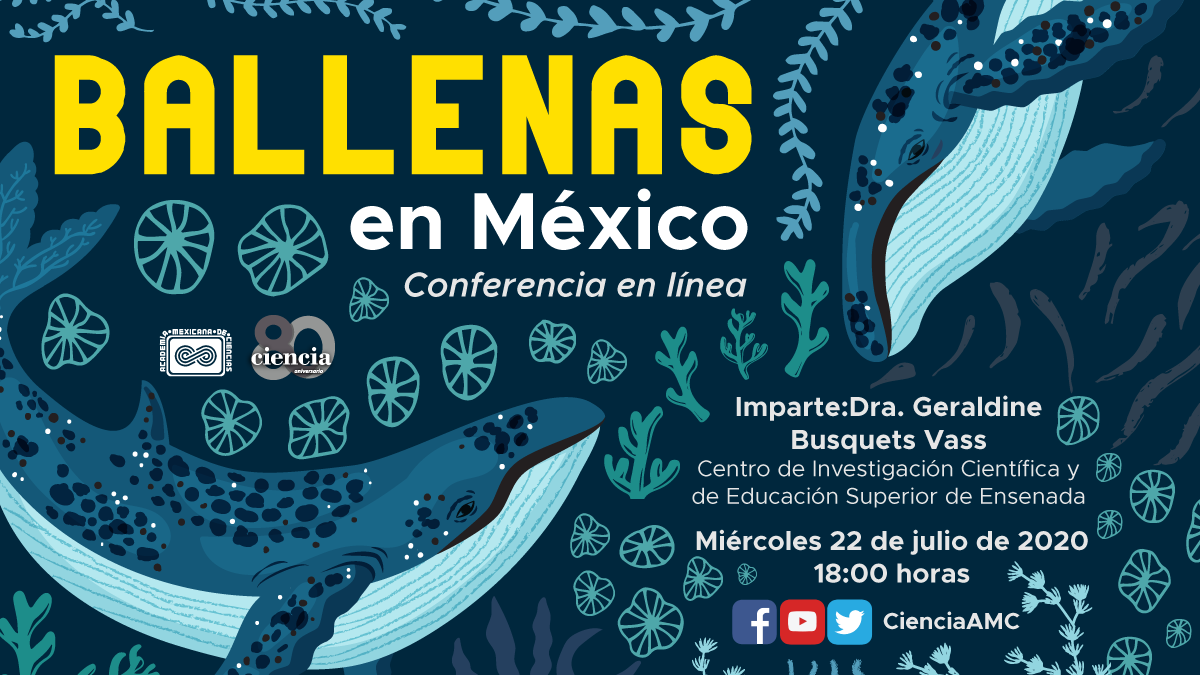 Revista Ciencia tweet media