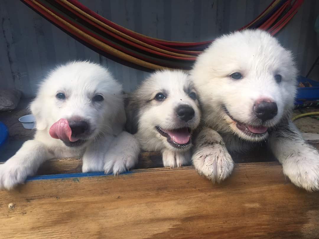 FarmingFitz tweet media