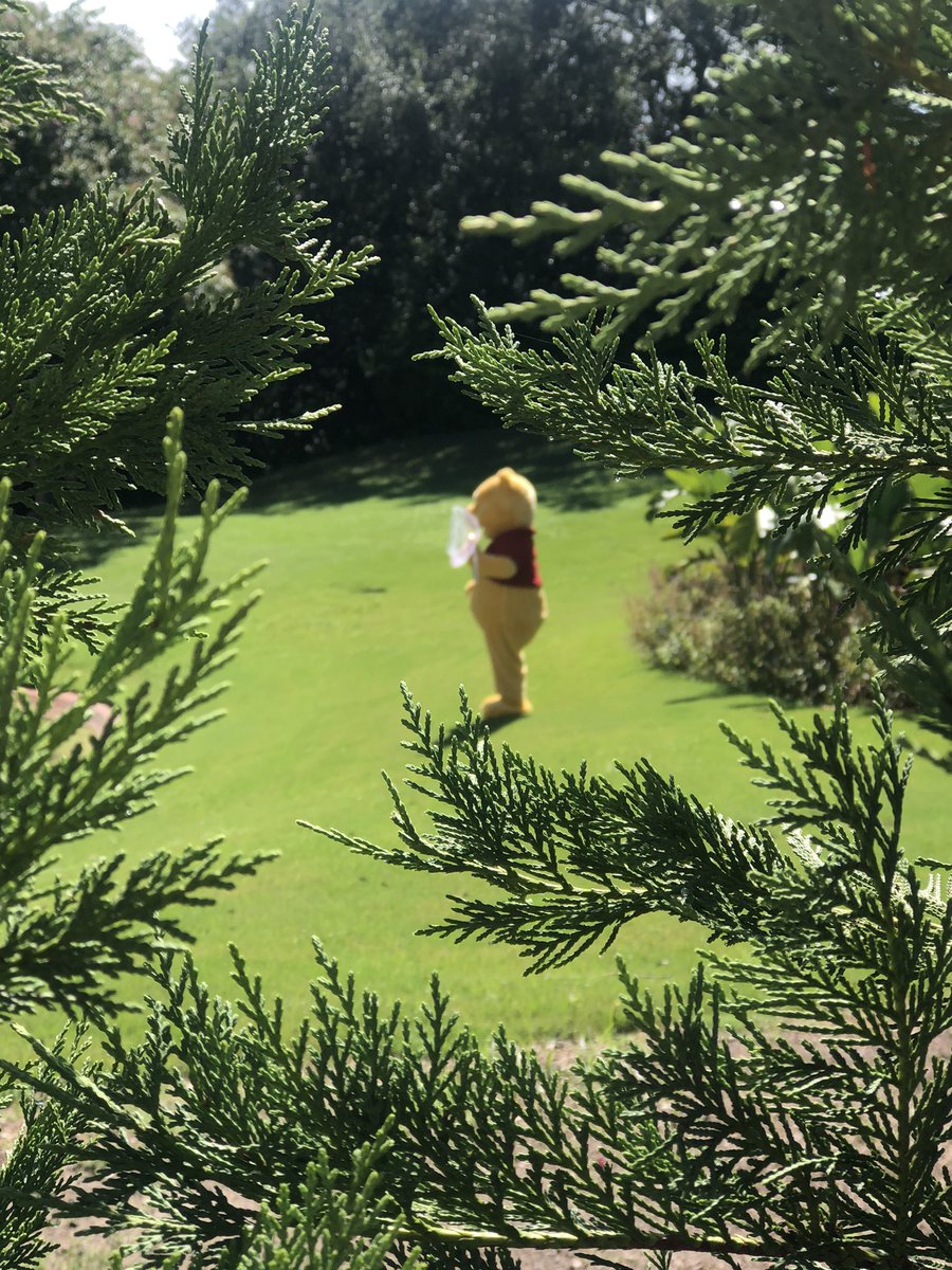 DisneeDad's tweet photo. At #Epcot and spotted #Pooh catching butterflies.  #DisneeDad #DisneyMemoryMaker #DisneyFamily #Disney #WDW  #WaltDisney #WaltDisneyWorld  #DVC #DisneyAP #DisneyResorts #DisneyParks  #dreammakerstravelagency #DisneyTravel #DisneyTravelAgent #DisTwitter https://t.co/XkXdILLerI