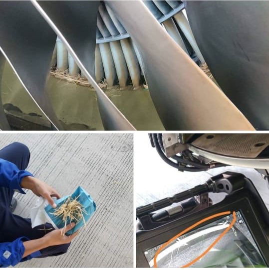 khafidzkn's tweet photo. INFO - L A Y A N G M U

Ditemukan serpihan bambu di pesawat PK - CFG merusak bilah dan fan blade.

Semisal itu engine mati di udara, trus kabar penumpangnya bagaimana? Accident,? Bisa jadi.

Yuk, Mari bersikap. https://t.co/zCGDc06ijb