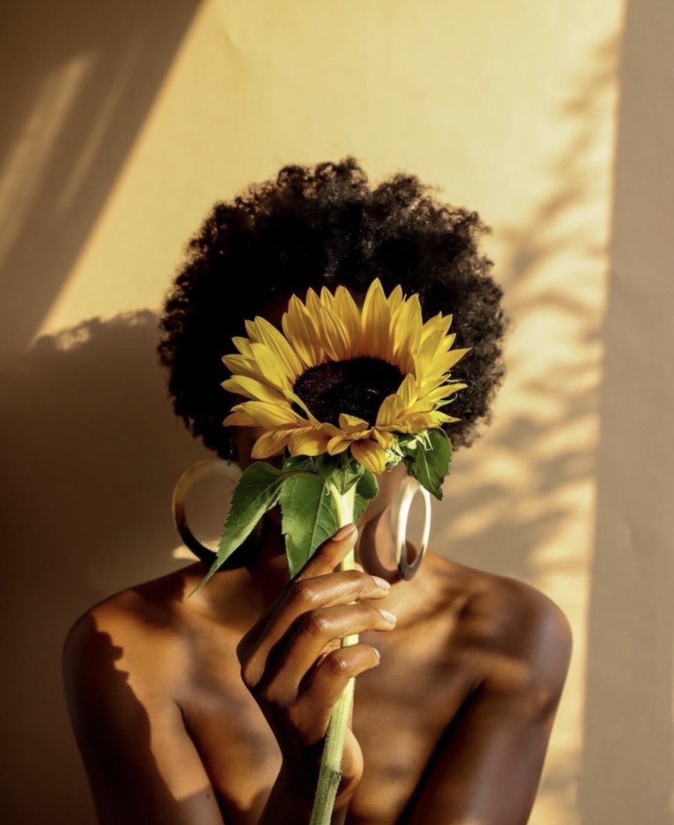 nandsbeauty's tweet photo. Some curly coils + sunflower love! 🌻💛 💁🏾‍♀️ @findingpaola | #janecartersolution #naturalhair https://t.co/JluIm7P4uW
