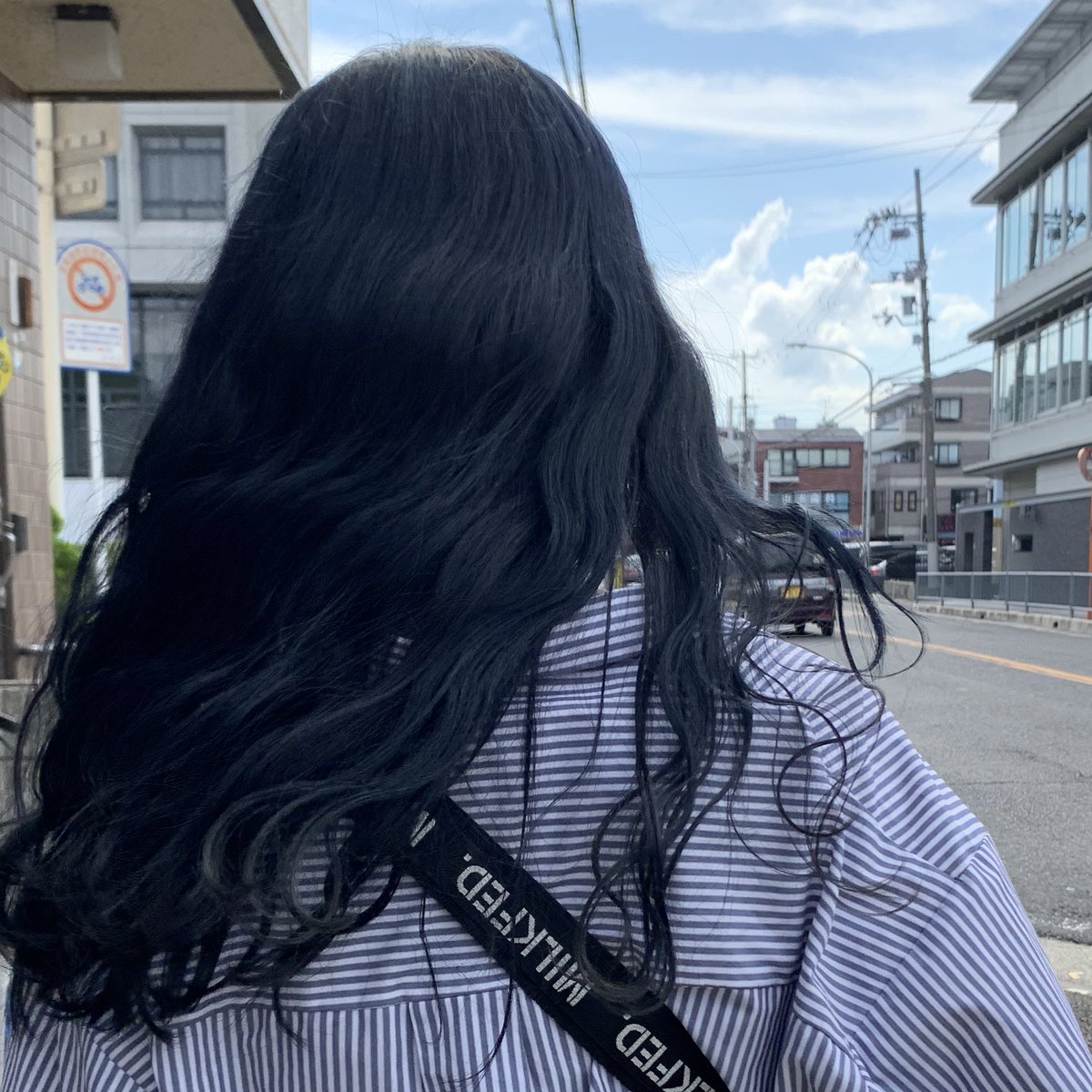 __72dnc's tweet photo. ブルーブラック💙🖤
光に当たるとなんとも言えん青
になるのが最強かわいい https://t.co/gxVbqYA9le