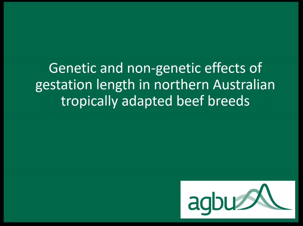 AGBU_GENE's tweet photo. Catching up with the Zeminar from Kirsty Moore from last week. Interesting talk outlining all things gestation length in northern cattle. Great example of the power of large well constructed projects. #repronomics #genetics #scicomm
@meatlivestock @UniNewEngland @nswdpi https://t.co/8SovkOjF9a