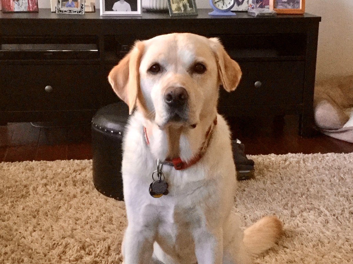 The clock says it’s a half hour past my dinner time. Time to get off that couch and feed me.
