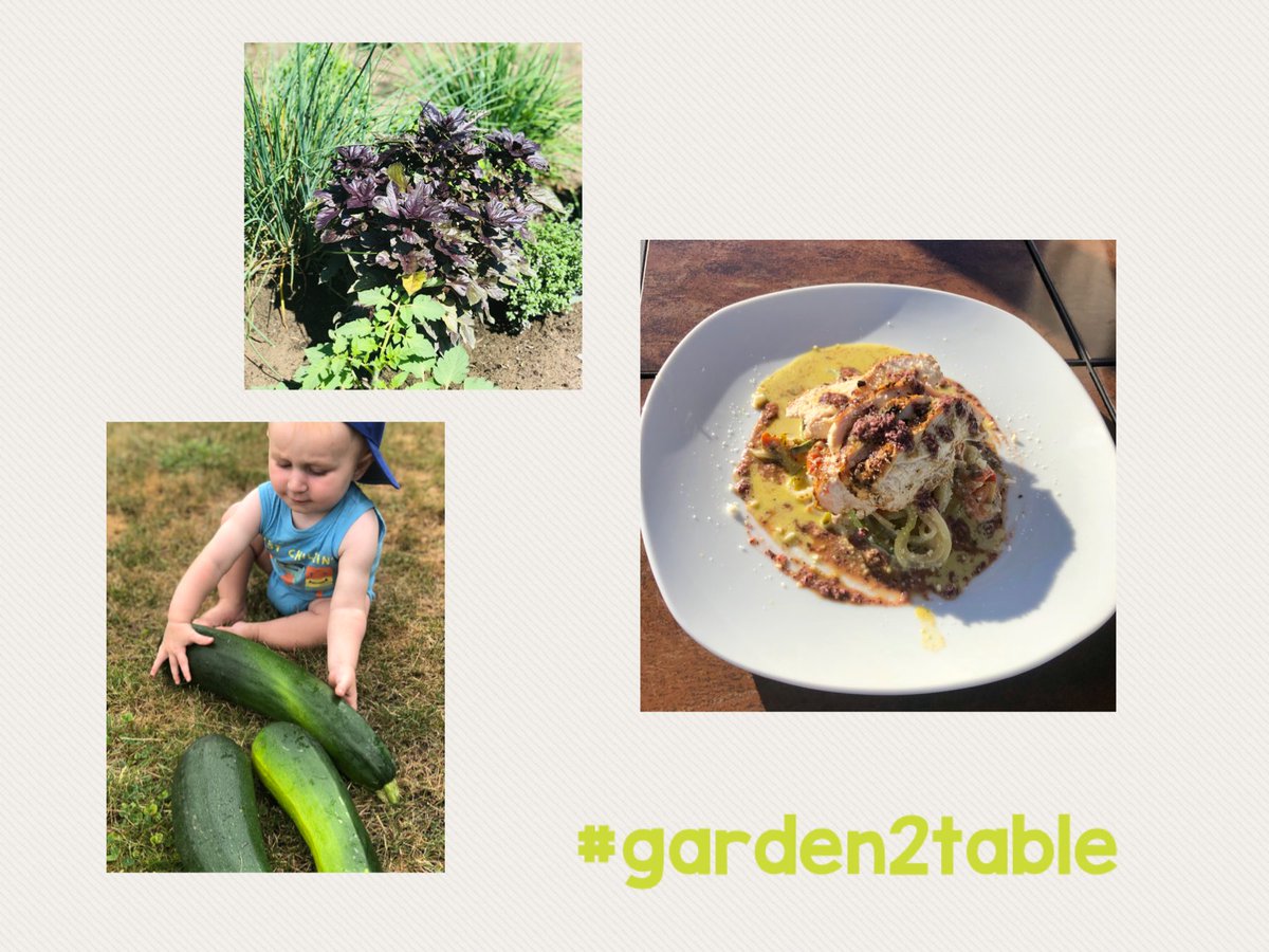 retiredstash's tweet photo. Supper tonight: zucchini noodles with purple pesto chicken! Delish! #garden2table #ocsbBeWell #gardenerhusband #pickergrandson #chefson https://t.co/OsiZbYNdUO