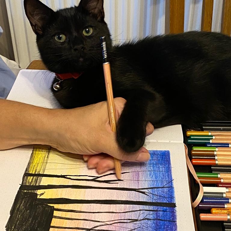 NancysInkSpots's tweet photo. My little drawing companion this evening πππ and Bears
#drawing #cat #kitten #artycat ##illustration #sketch #sketchbook #catdrawing #drawingcat
#drawings #illustrationartists #trees #sunset #bearcubs #sketchbook #sketch #colours https://t.co/gtJ6EOq63G
