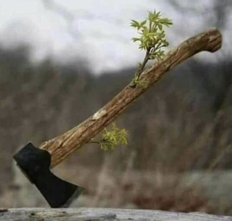 جنگل دن بدن سُکڑ رہا تھا مگر پھر بھی سارے درختوں نے ووٹ کلہاڑی کو دیا کیونکہ ان کے خیال میں کلہاڑی کے دستے کا تعلق انکی برادری سے ہے۔