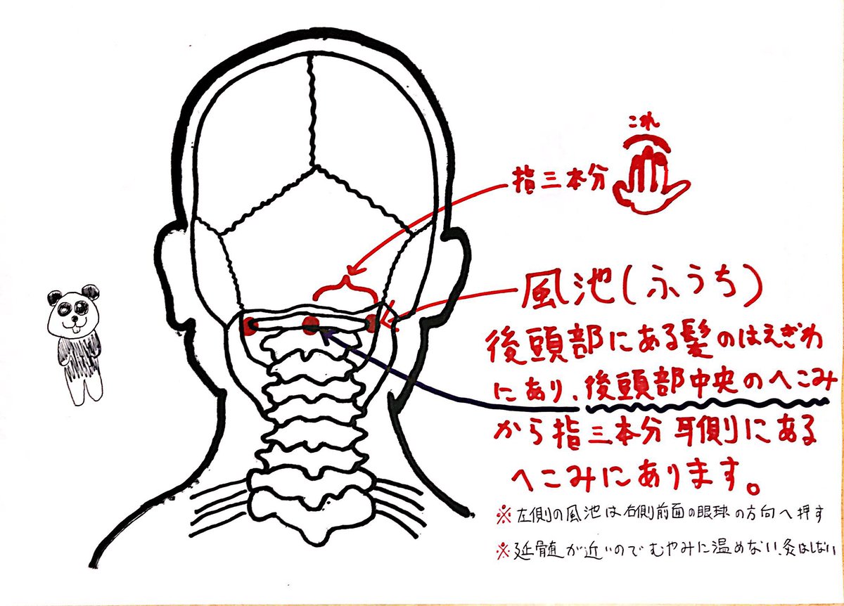 ぴーてん 自然が好きな鍼灸師で漢方家 蒸し暑くてイライラする そんな時に使えるツボまとめ 百会 ひゃくえ 頭から気を抜くツボ 脱力のツボ 行間 こうかん 過敏になった心を落ち着かせるツボ 風池 ふうち 考えすぎてしまう時に 試して下