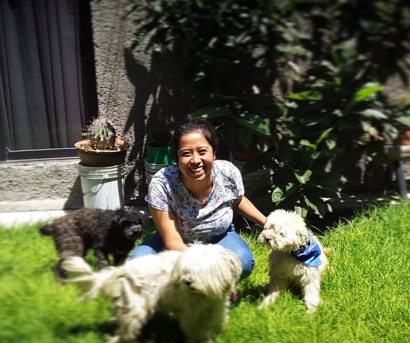 ltstecamac's tweet photo. ¡Día mundial del perro! 🐶
Desde el 2004, cada 21 de julio se festeja en todo el planeta para concientizar y sensibilizar sobre el maltrato y el abandono del que los lomitos son víctimas.
Les compartimos fotos de los perritos que alegran la vida de nuestros socios.
#Rotatact https://t.co/mbOcnw2pNs