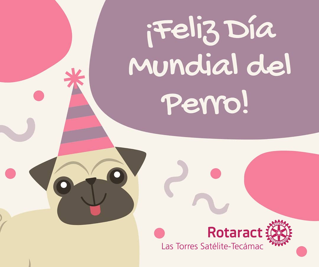 ltstecamac's tweet photo. ¡Día mundial del perro! 🐶
Desde el 2004, cada 21 de julio se festeja en todo el planeta para concientizar y sensibilizar sobre el maltrato y el abandono del que los lomitos son víctimas.
Les compartimos fotos de los perritos que alegran la vida de nuestros socios.
#Rotatact https://t.co/mbOcnw2pNs