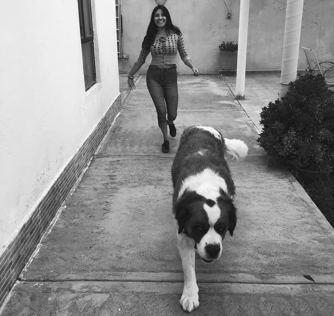 ltstecamac's tweet photo. ¡Día mundial del perro! 🐶
Desde el 2004, cada 21 de julio se festeja en todo el planeta para concientizar y sensibilizar sobre el maltrato y el abandono del que los lomitos son víctimas.
Les compartimos fotos de los perritos que alegran la vida de nuestros socios.
#Rotatact https://t.co/mbOcnw2pNs