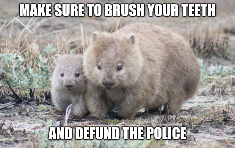 Megatherioidea's tweet photo. #WallOfMoms be like... Make sure to brush your teeth and #DefundThePolice #PortlandProtests #PortlandProtesters #PortlandProtest #PortlandKidnapping #JusticeForShaiindia #BlackLivesMatter #DontShootPortland https://t.co/kOl4JUUPX9