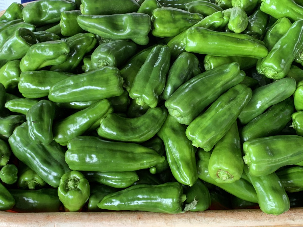 Hoy recibimos la visita del director provincial del Instituto de Seguro Agropecuario, Eliécer Aparicio <a href="/eliecer1961/">Eliecer aparicio</a> Viendo el estado de los cultivos y la infraestructura. El ISA, cuenta con programas de seguros para respaldar las inversiones del productor nacional.