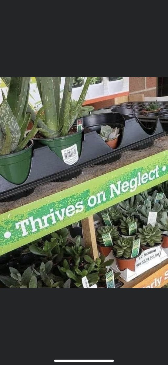 When somebody asks me about my past relationships..