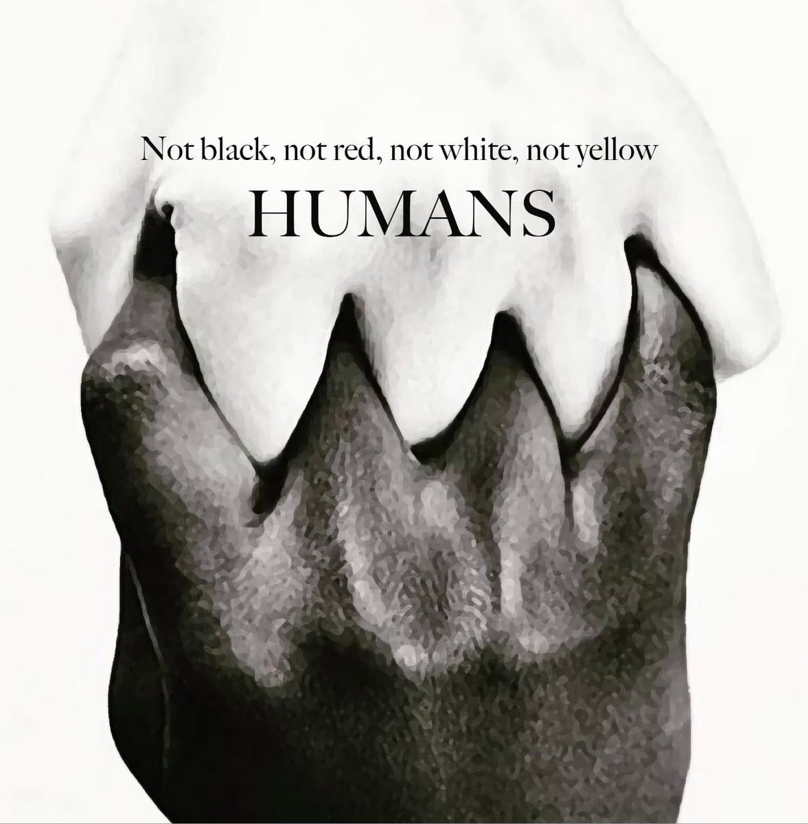 emccants's tweet photo. We are all created equal. #human#celebratediversity https://t.co/cUN0FgTd7K