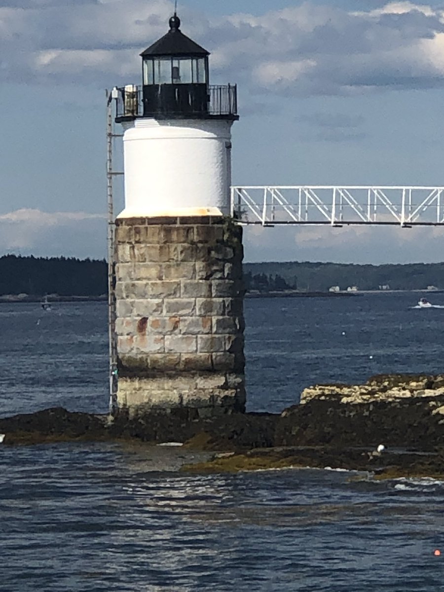 spitfire7691's tweet photo. #BoothbayHarbor @capnfishs #Seals #MaineLife #summertime https://t.co/JIcY8s8E5V