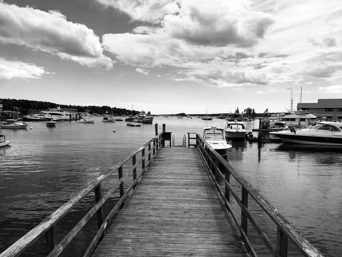 spitfire7691's tweet photo. #BoothbayHarbor @capnfishs #Seals #MaineLife #summertime https://t.co/JIcY8s8E5V