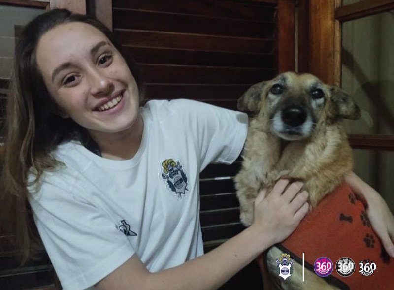 FemeninoCGE's tweet photo. 🐶💙 En el #DiaMundialDelPerro, junto a @valenchurando y Pancha, le damos la bienvenida a @360Mascota al fútbol femenino.

¡Muchas gracias por acompañarnos en nuestros sueños! https://t.co/NUgkT9Lw68