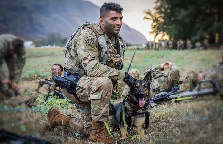 MWD_News's tweet photo. SPC Peterson and MWD Tomi, a Patrol Explosive Detector Dog (PEDD) team from the 520th Military Police Detachment have been an integral asset during #LightningForge20 . Directly supporting the Gimlets, the PEDD team has actively contributed to mission success through their (contd) https://t.co/yv9iLkCBTO