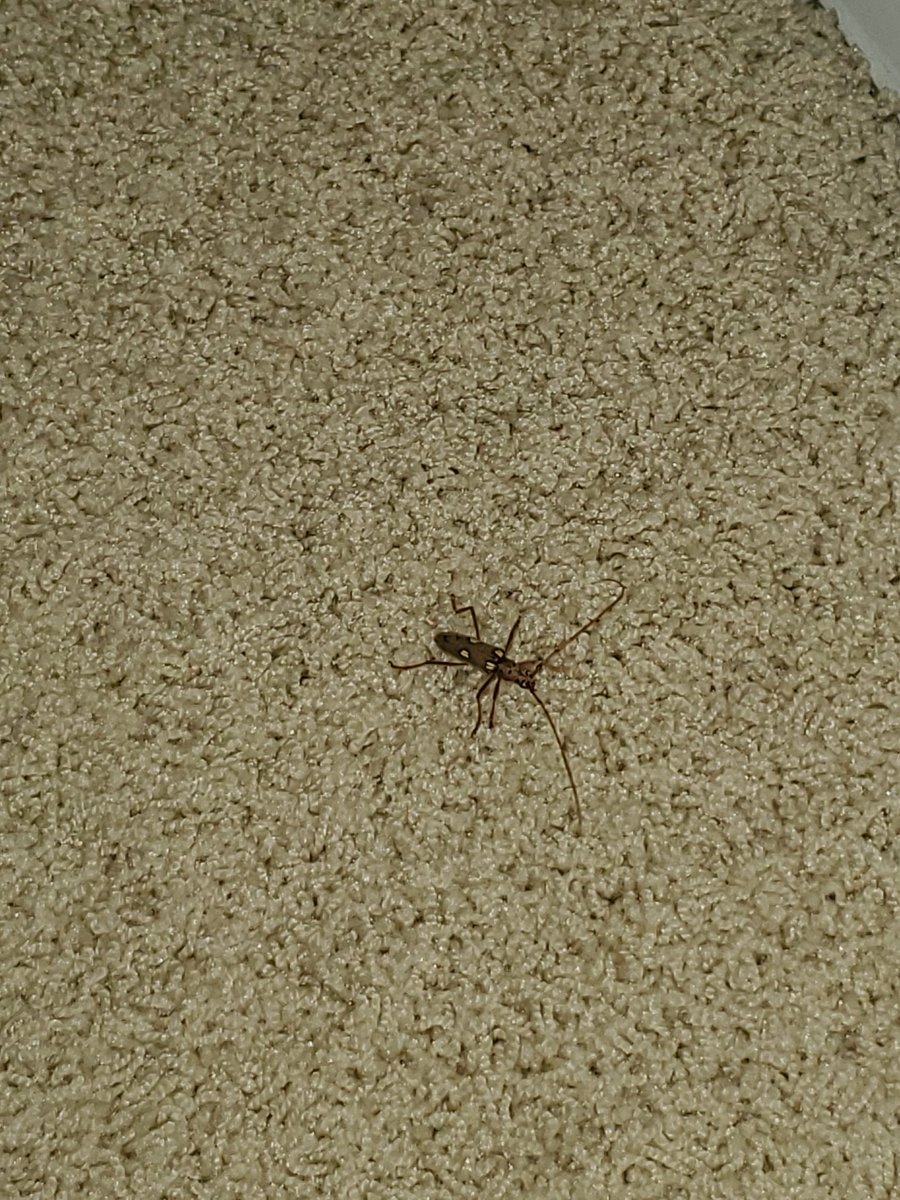 ranieperkins's tweet photo. @vacasarentals terrible property management! https://t.co/yY84jtb1Sd