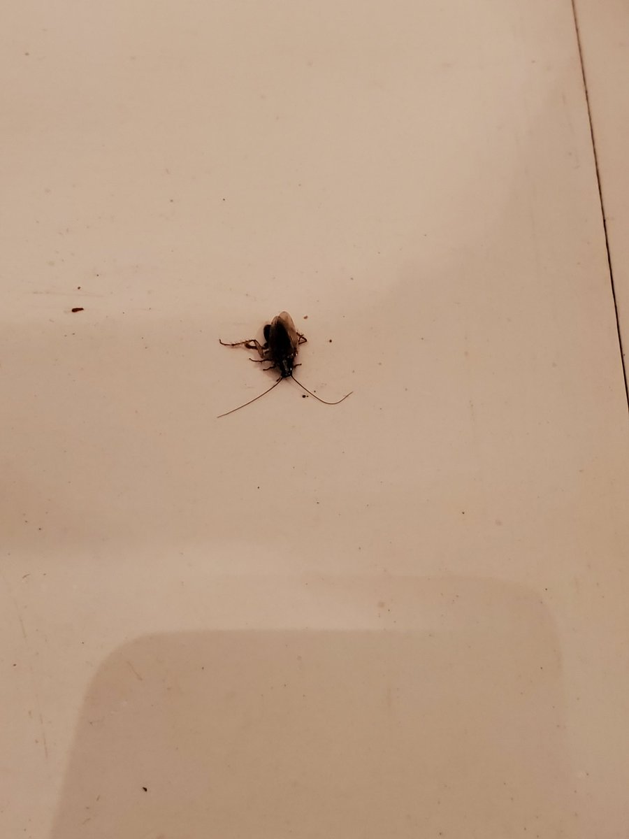 ranieperkins's tweet photo. @vacasarentals terrible property management! https://t.co/yY84jtb1Sd
