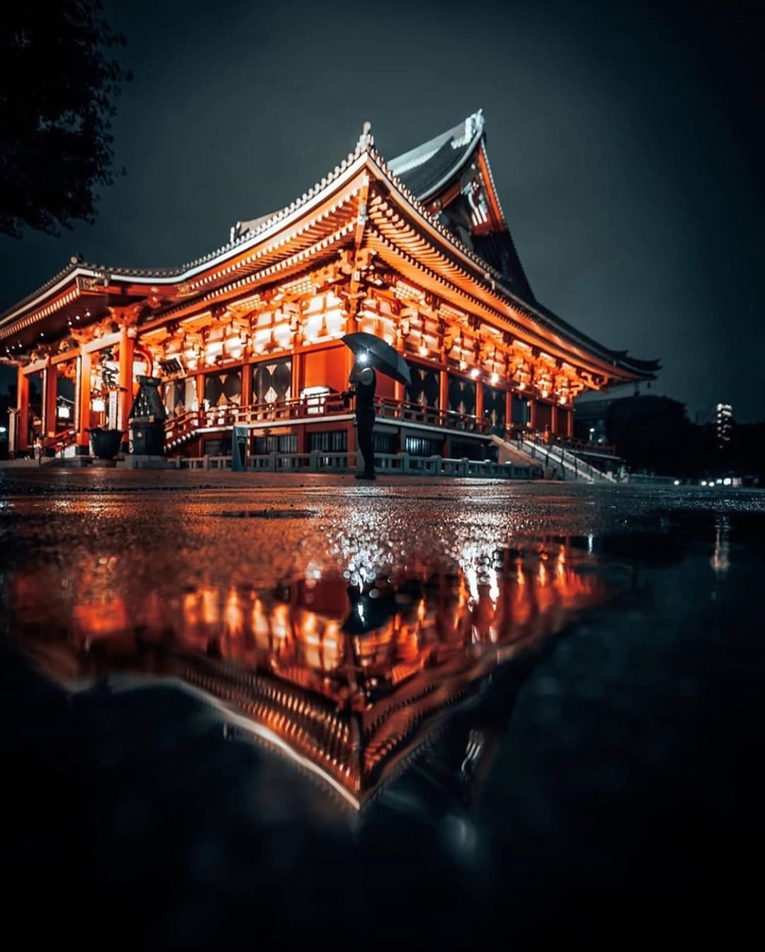 Only Fans Exclusive Network on Twitter(00)