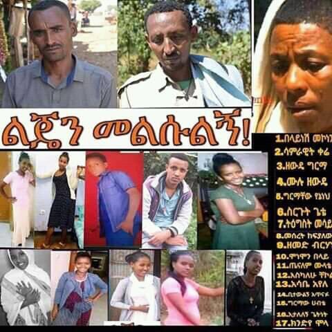 AlexEthiopia1 tweet picture