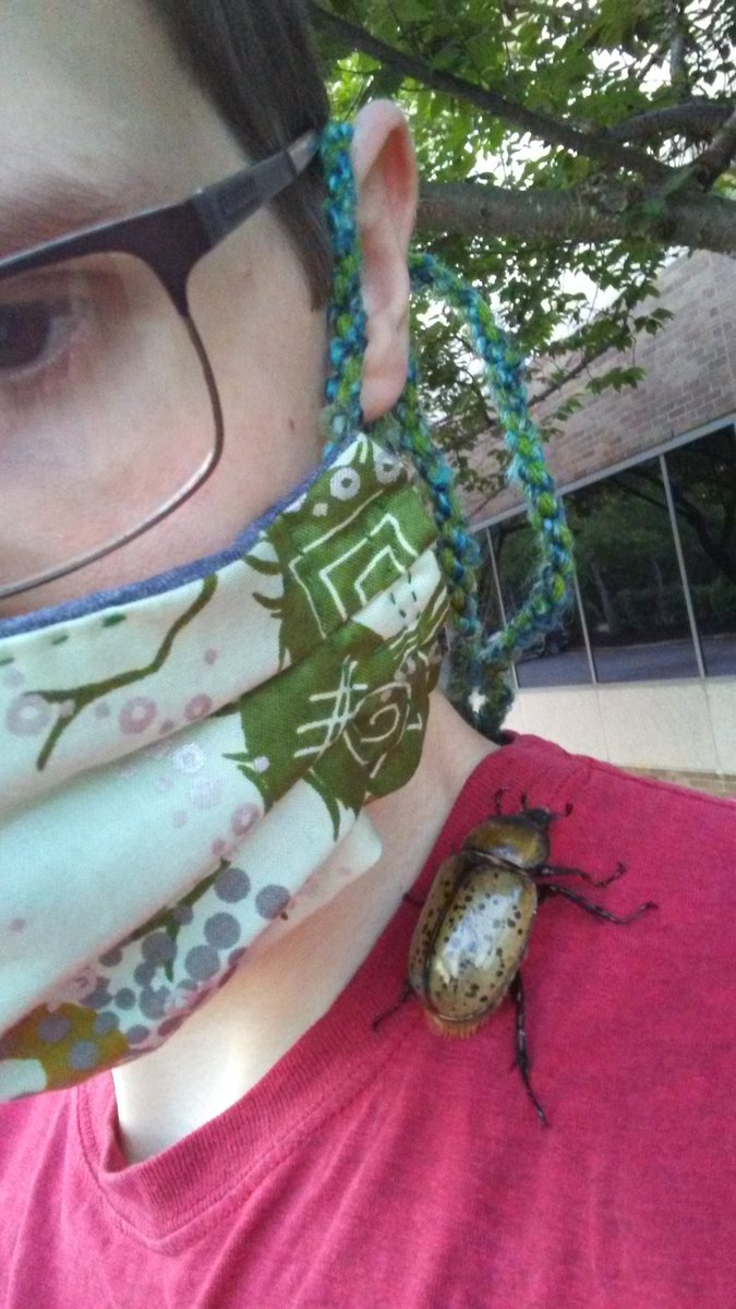 FurnipsAndTurnips tweet media