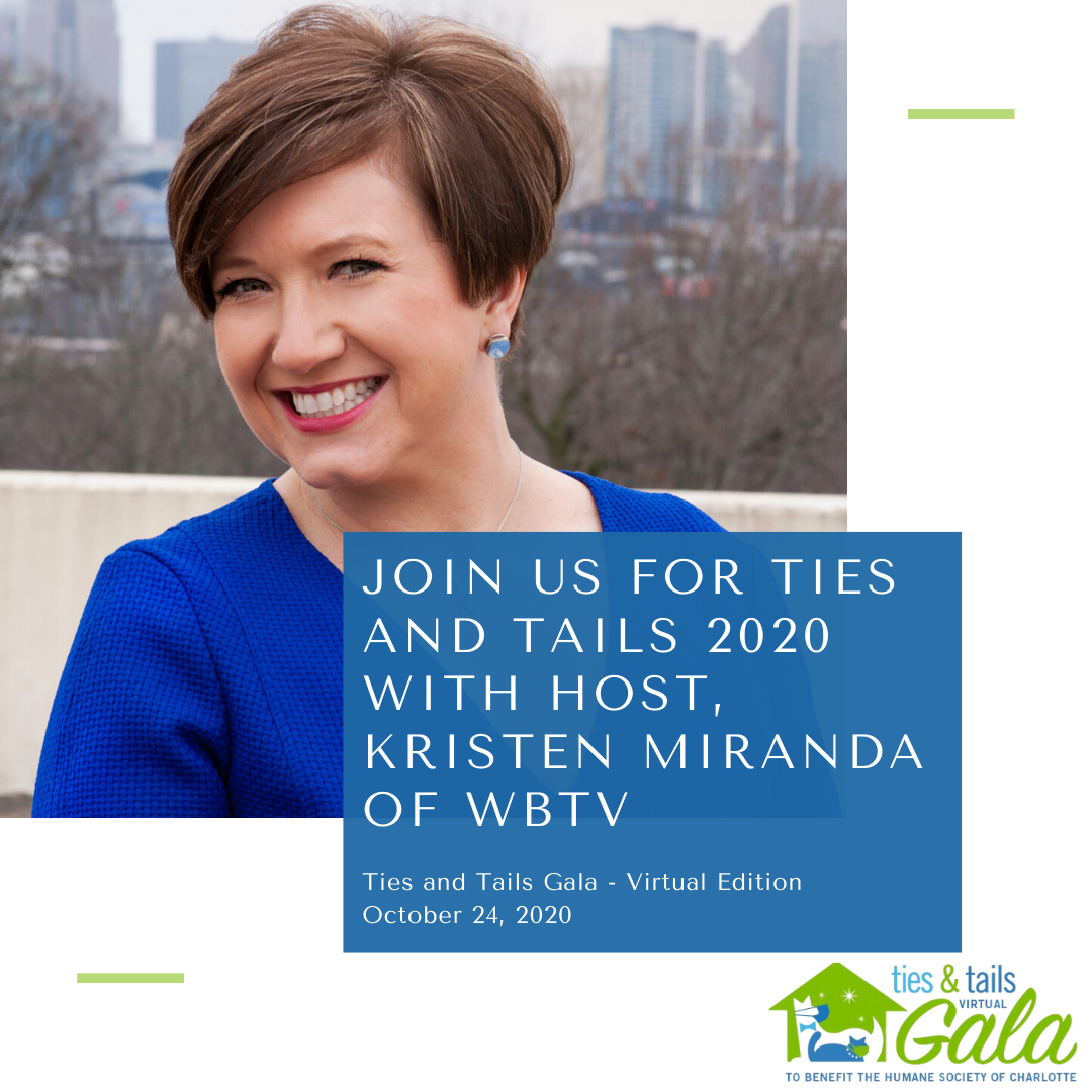 humanecharlotte's tweet photo. This year you can enjoy our gala from the comfort of your couch! @WBTVKristenM says be sure to save the date 🐾 https://t.co/7TYZ9xu7UT