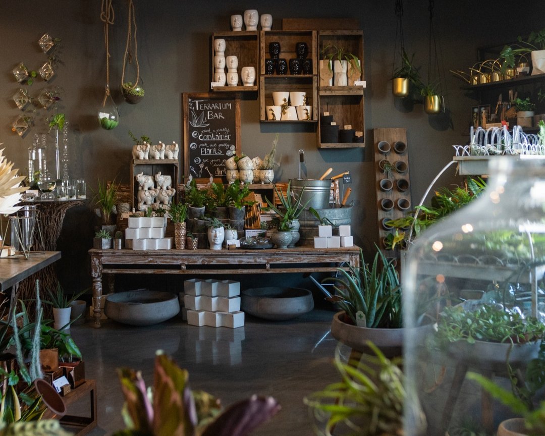 azflowerbar's tweet photo. Did you know we’re offering Private Shopping Experiences!?!? Our retail space is filled with vessels, house plants, local objects, and all things botanical! 

🌱 Want to get your hands dirty? Our terrarium bar is available during your reserved time - so you can come play in s https://t.co/G1jZhPfZgC