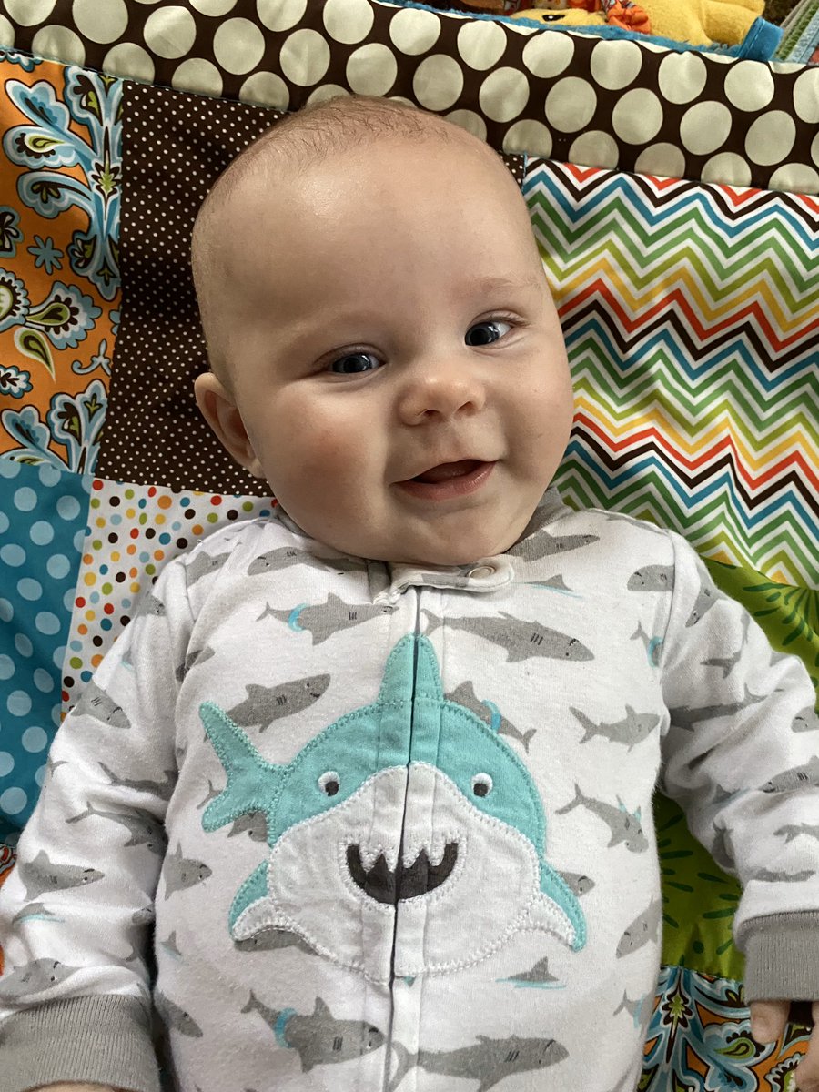 Emma Dean approves <a href="/MikeDaria/">Mike Daria</a>’s stance on reopening so she can stay as safe as possible. 👍🏼 Whether the board votes yes or no, thank you for keeping your students’ and teachers’ families into consideration as we reopen. <a href="/TCSBoardofEd/">T🍏S Board of Ed</a>