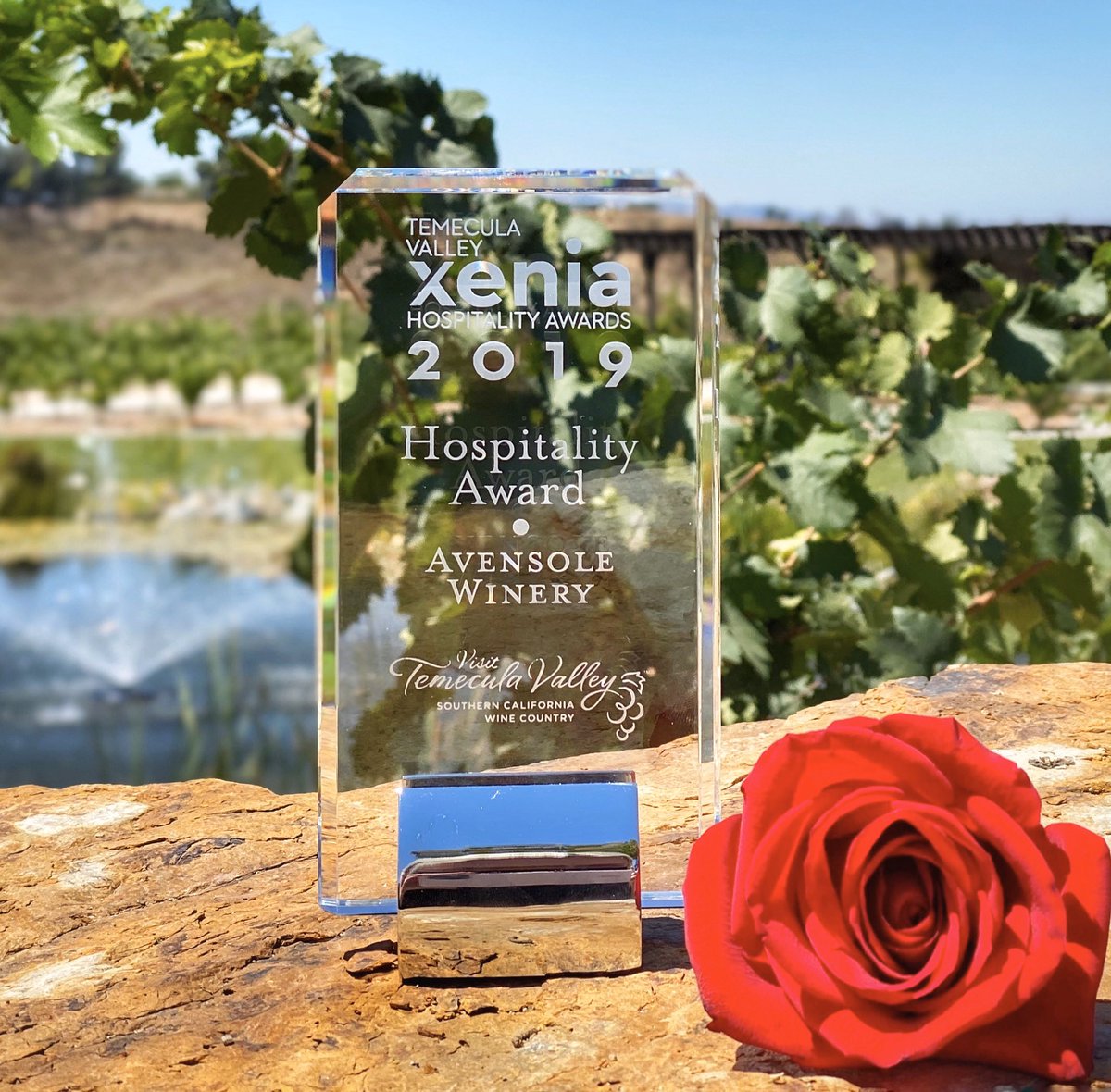 AvensoleWinery's tweet photo. Avensole Winery is honored to have received the prestigious Xenia Award for Hospitality for 2019! Thank you to our amazing @visittemecula for their outstanding efforts to promote exemplary hospitality and service in tourism.
🏆 🌹
#AvensoleWinery #XeniaAwards https://t.co/Xem9ohEHV4