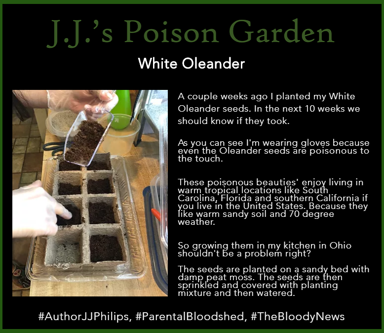 AuthorPhilips's tweet photo. My little poison garden is coming along.
#5yrsofbloodshed,#AuthorJJPhilips,#Etsy,#JJRecommends,#JJsPoisonGarden,#NightmaresINC,#Selfpub,#WiHM,#bloodsplatter,#booklover,#books,#bookworm,#horror,#itsjjphilips,#jjphilips,#parentalbloodshed,#poisongarden,#thebloodynews,#writer https://t.co/zkhZHE8hDX