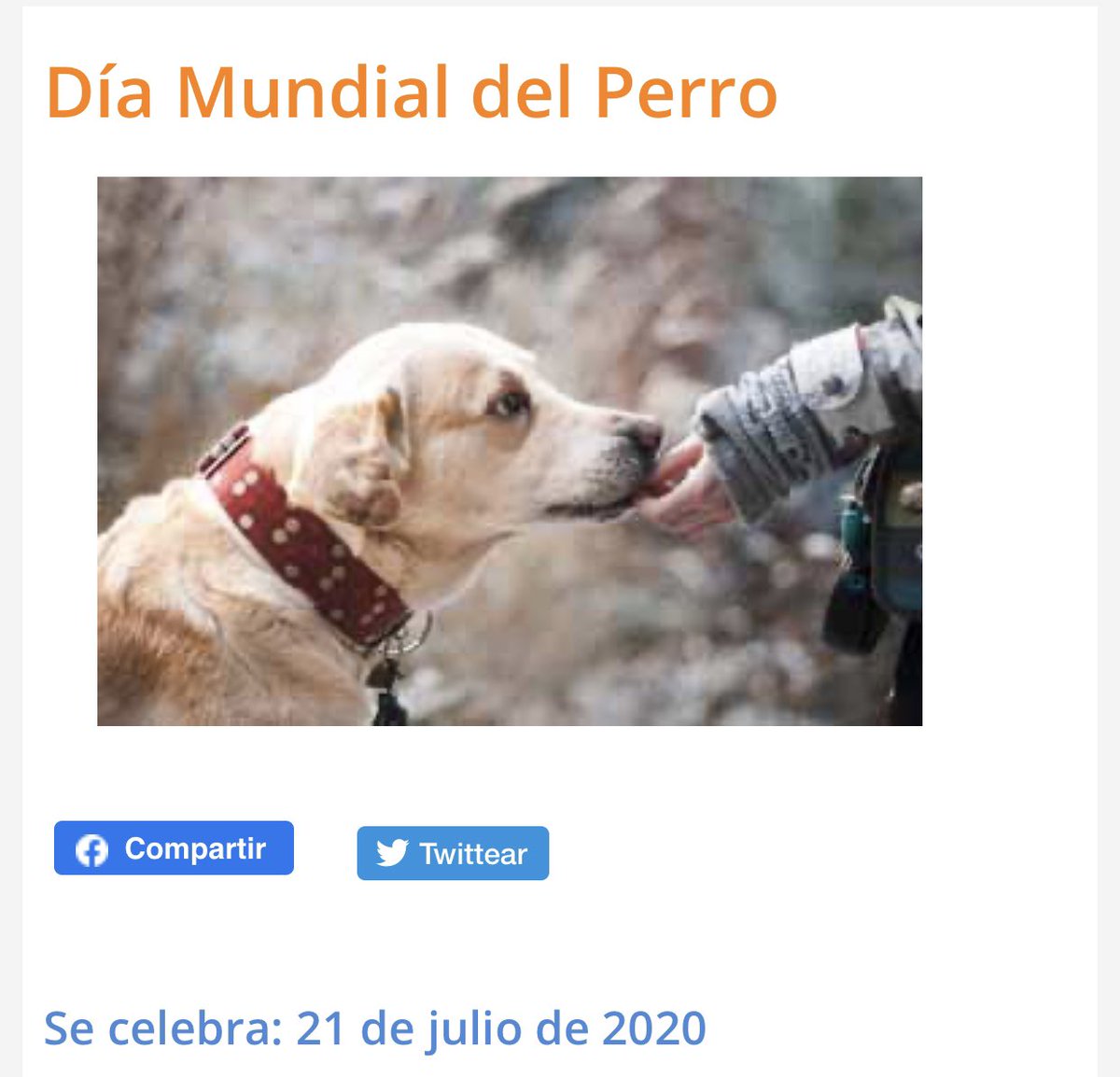 CarlosJoaquin's tweet photo. Feliz día, siempre queridos, apapachados y cuidados. https://t.co/kCo7gilMS2
