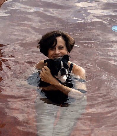 Denise Dresser tweet media