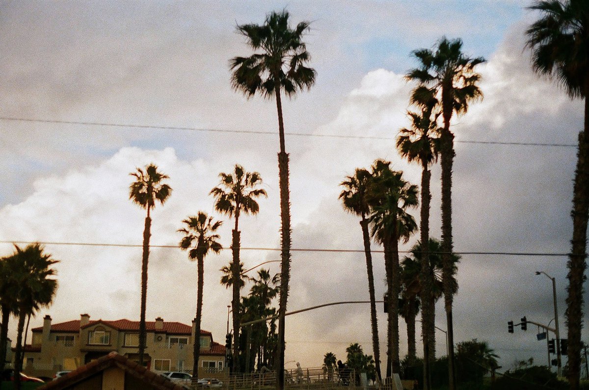yeahmikeyshotme's tweet photo. Analog photography is still alive. heres some more . RT @JimSneddon3: Trisected Palms 

Kodak Ultramax 400 on a Konica Autoreflex TC

#konica #autoreflex #shootfilm #analog  #ishootfilm https://t.co/qsPcgPQGLa