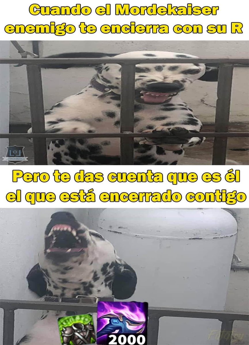noticias1nuevas's tweet photo. Solo los jugadores de lol entenderan
Sigueme para mรกs memes ..
#leagueoflegendsmemes
#LeagueOfLegendsFanArt
#leagueoflegends
#memes
#morderkaiser
#nazus https://t.co/vj19r0SPZb