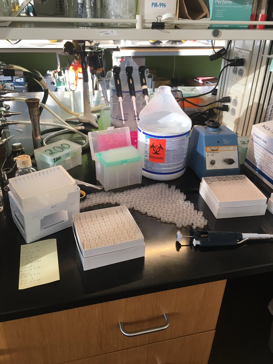 microsabz's tweet photo. Its one of those days where I need to take a seat in the middle of pipetting 😅 #tubesday https://t.co/73GiMxObUN